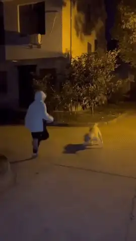 GIFparade CXXVI GP126_46 