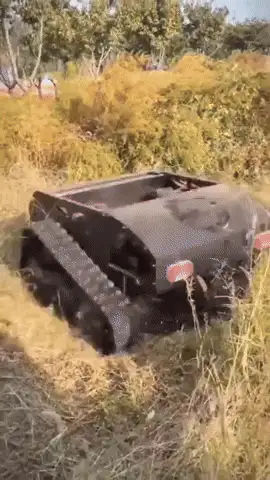 GIFparade CXXVII GP127_23 