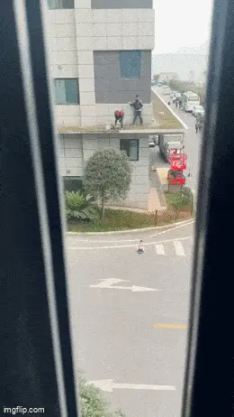 GIFparade CXXVII GP127_26 