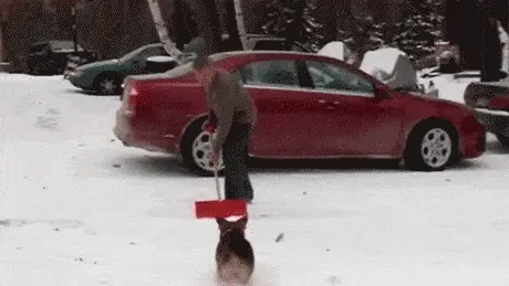 GIFparade CXXVII GP127_27 