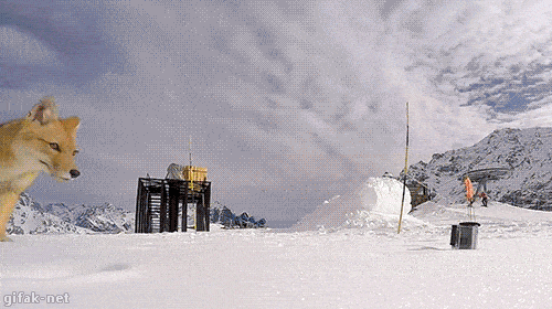 GIFparade CXXVIII GP128_32 