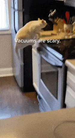 GIFparade CXXVIII GP128_34 