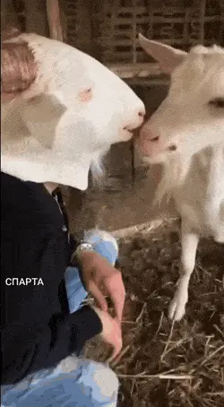 GIFparade CXXVIII GP128_36 