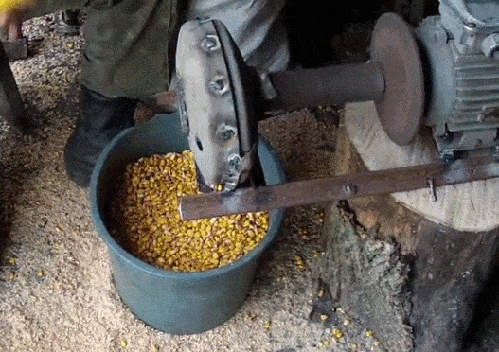 GIFparade CXXVIII GP128_37 