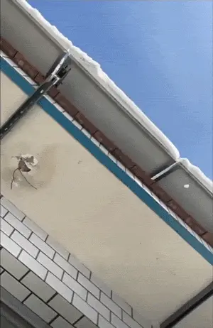 GIFparade CXXVIII GP128_41_BEST 