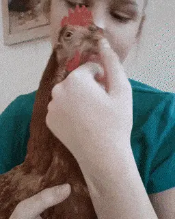 GIFparade CXXVIII GP128_44 