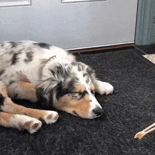 GIFparade CXXVIII GP128_45 