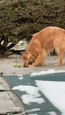 GIFparade CXXIX GP129_18 