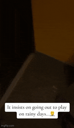 GIFparade CXXIX GP129_20 