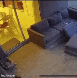 GIFparade CXXIX GP129_22 