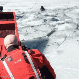 GIFparade CXXIX GP129_30 