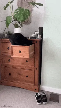 GIFparade CXXIX GP129_33 