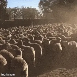 GIFparade CXXIX GP129_36 