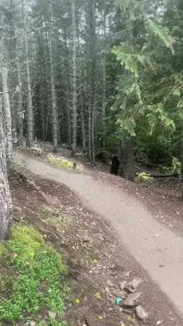 GIFparade CXXIX GP129_37 