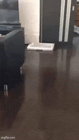 GIFparade CXXIX GP129_42 