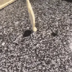 GIFparade CXXIX GP129_50 