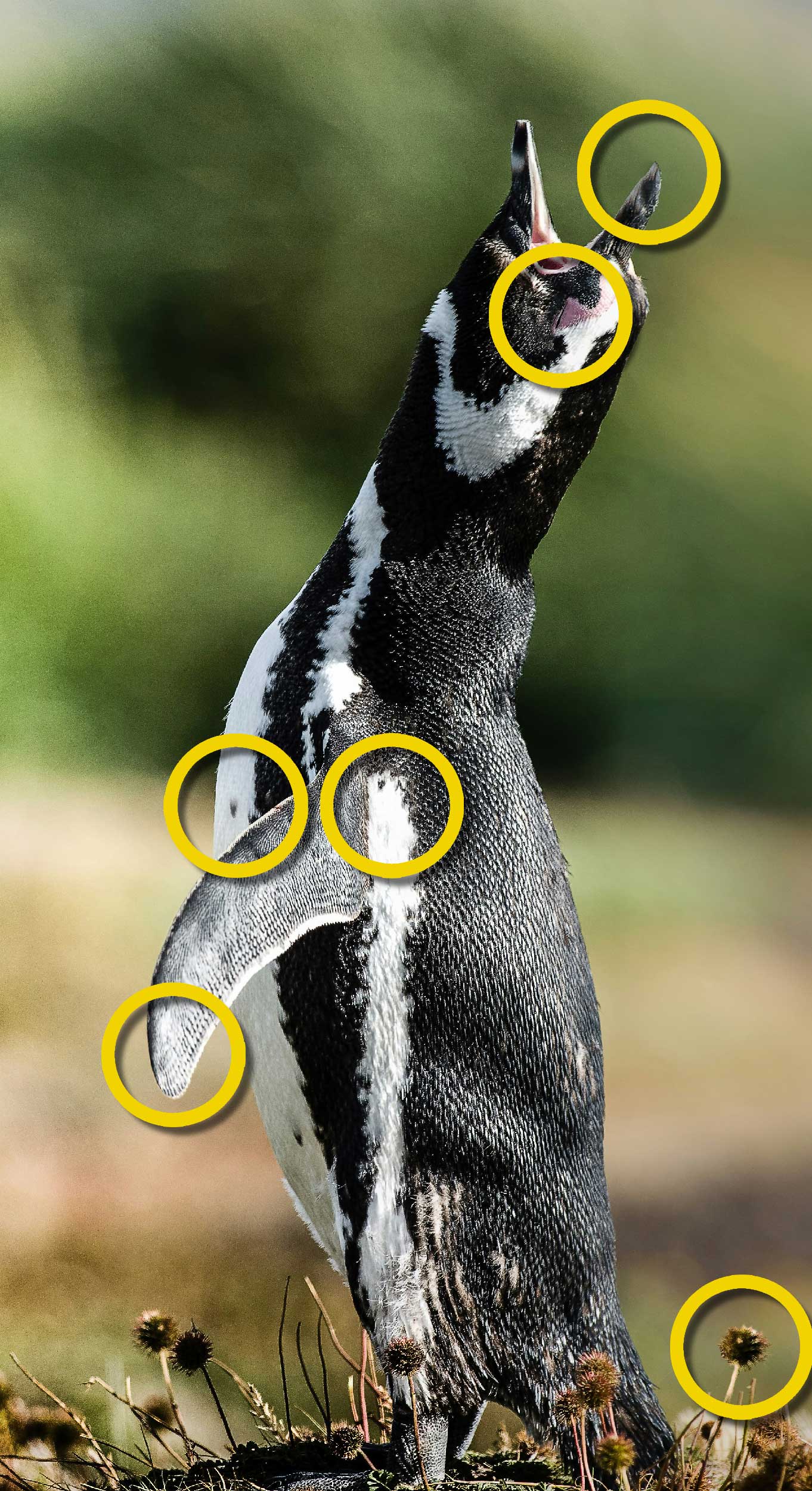 FehlerFindFreitag Nr. 153 FFF-153_LOESUNG