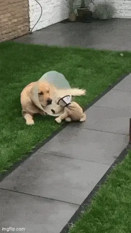 GIFparade CXXX GP130_14 