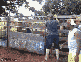 GIFparade CXXX GP130_15 