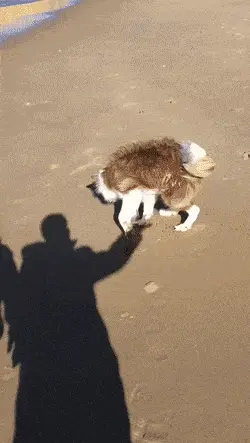 GIFparade CXXX GP130_17 