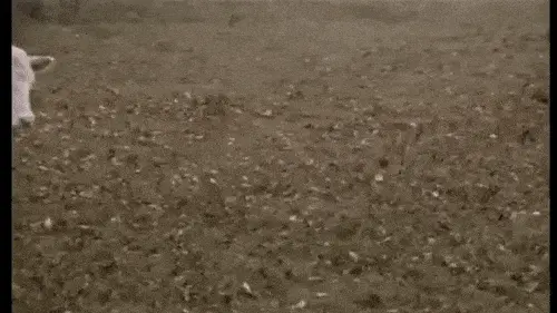 GIFparade CXXX GP130_26 