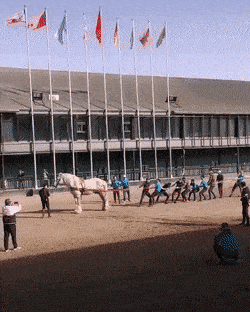 GIFparade CXXX GP130_29 