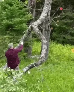 GIFparade CXXX GP130_39 