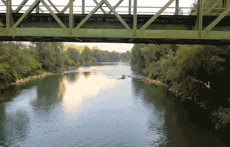 GIFparade CXXXI GP131_15 