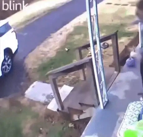 GIFparade CXXXI GP131_24 