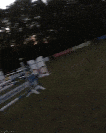 GIFparade CXXXI GP131_35 