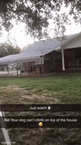 GIFparade CXXXI GP131_39 