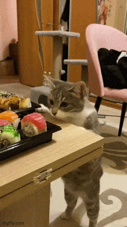 GIFparade CXXXI GP131_43 