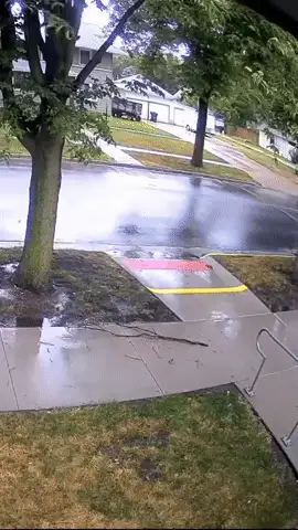 GIFparade CXXXI GP131_50 