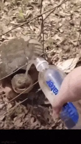 GIFparade CXXXII GP132_14 