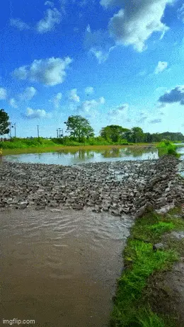 GIFparade CXXXII GP132_38 