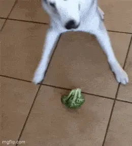 GIFparade CXXXII GP132_42 