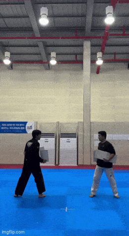 GIFparade CXXXII GP132_48 