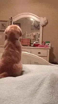 GIFparade CXXXII GP132_49 