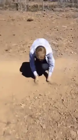 GIFparade CXXXII GP132_51 