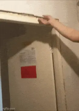 GIFparade CXXXIII GP133_12 