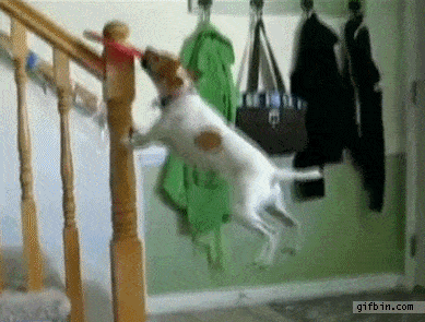 GIFparade CXXXIII GP133_22 