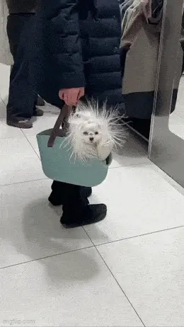 GIFparade CXXXIII GP133_23 