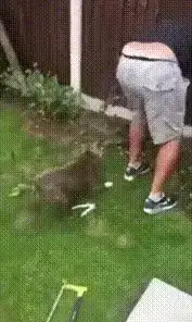 GIFparade CXXXIII GP133_30 