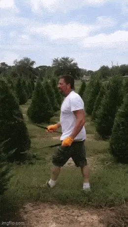 GIFparade CXXXIV GP134_18 