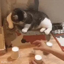 GIFparade CXXXIV GP134_26 