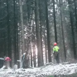 GIFparade CXXXIV GP134_39 