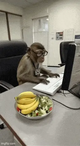 GIFparade CXXXIV GP134_48 