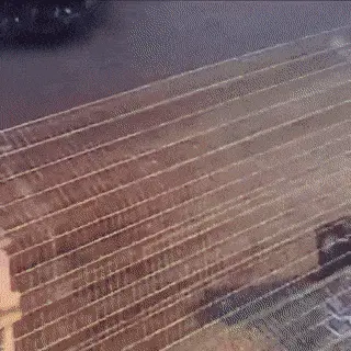 GIFparade CXXXIV GP134_50 