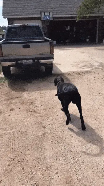 GIFparade CXXXV GP135_30 