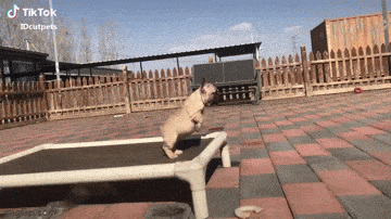 GIFparade CXXXV GP135_31 